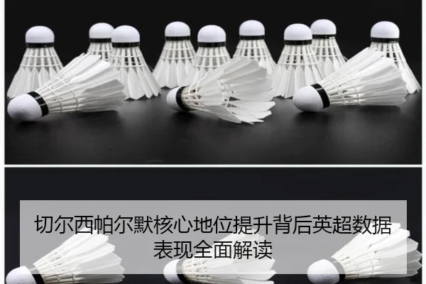 切尔西帕尔默核心地位提升背后英超数据表现全面解读