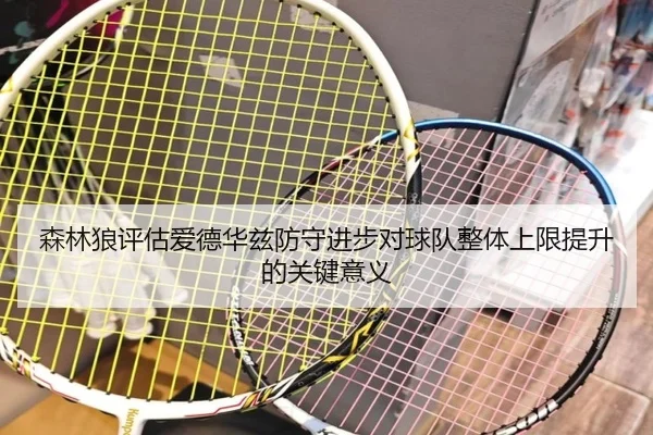 森林狼评估爱德华兹防守进步对球队整体上限提升的关键意义