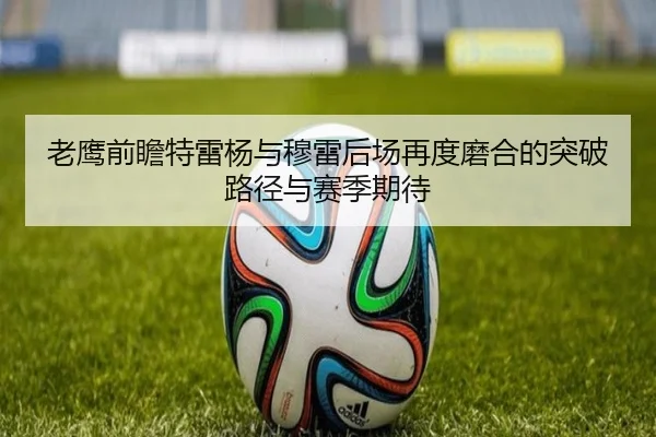 老鹰前瞻特雷杨与穆雷后场再度磨合的突破路径与赛季期待